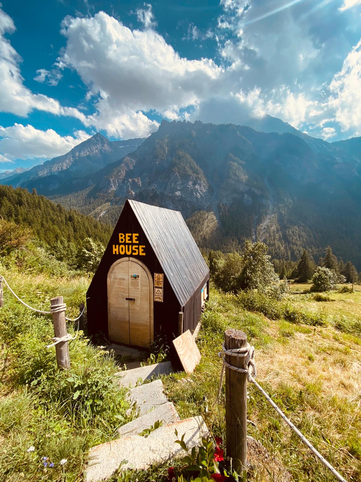 Bee House
